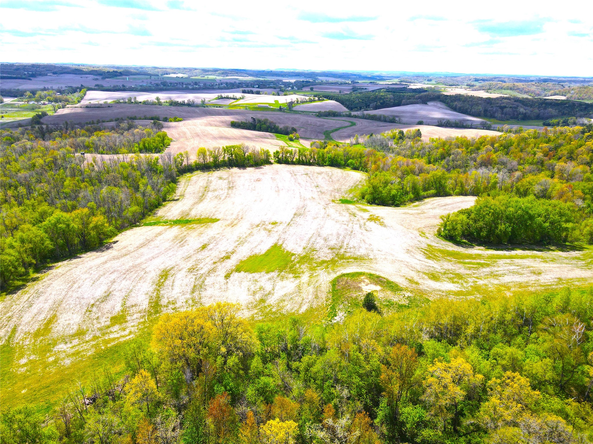 125 acres Steig Coulee Road Osseo WI 54758 1601001 image15
