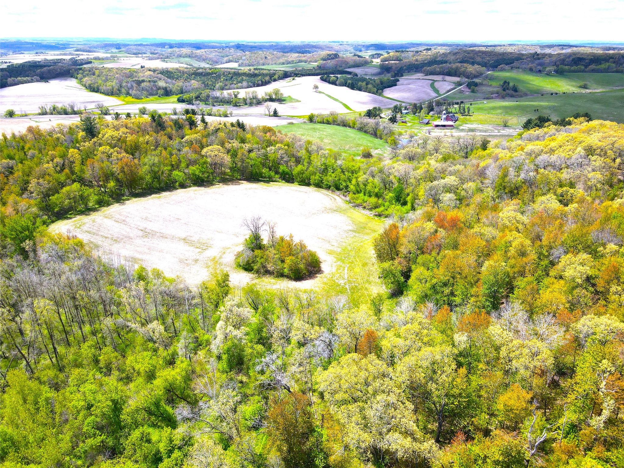 125 acres Steig Coulee Road Osseo WI 54758 1601001 image17