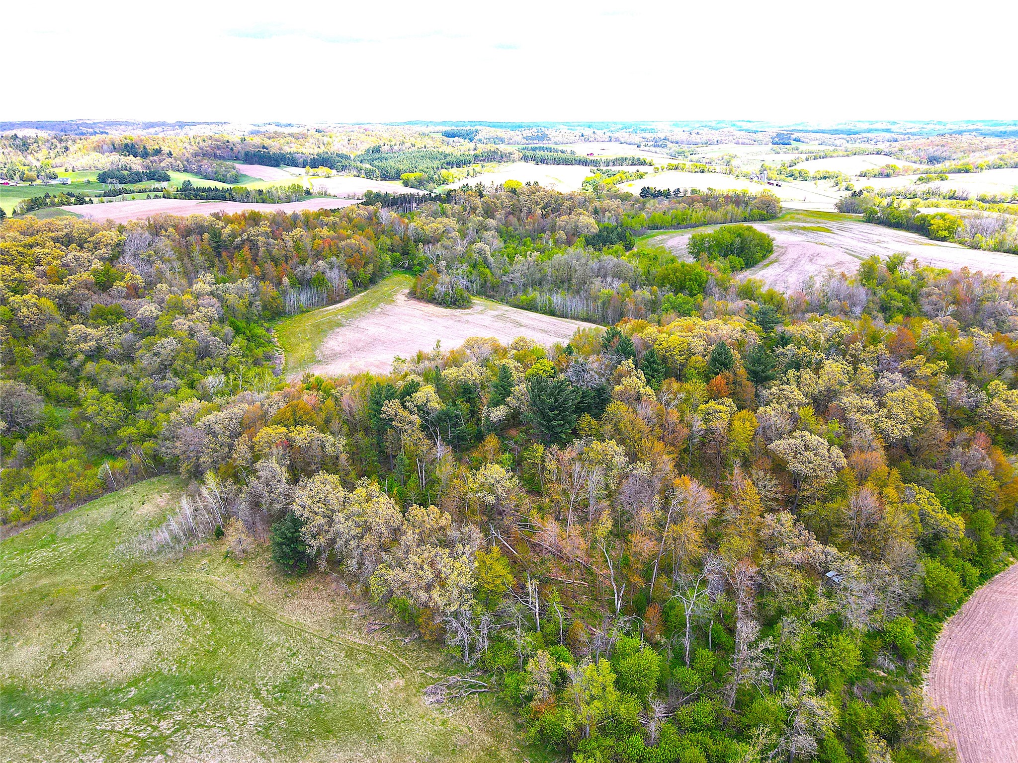125 acres Steig Coulee Road Osseo WI 54758 1601001 image18