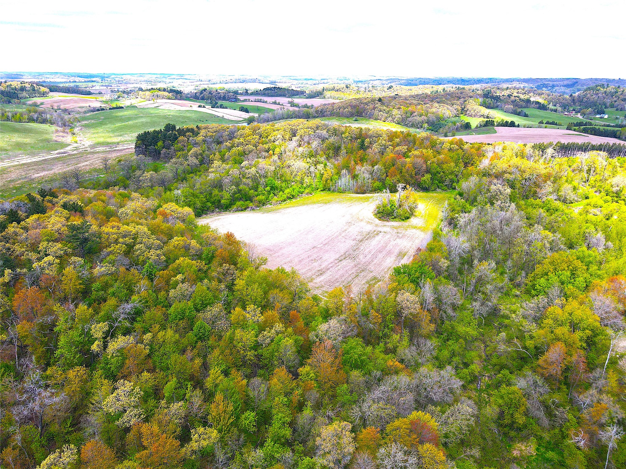 125 acres Steig Coulee Road Osseo WI 54758 1601001 image19