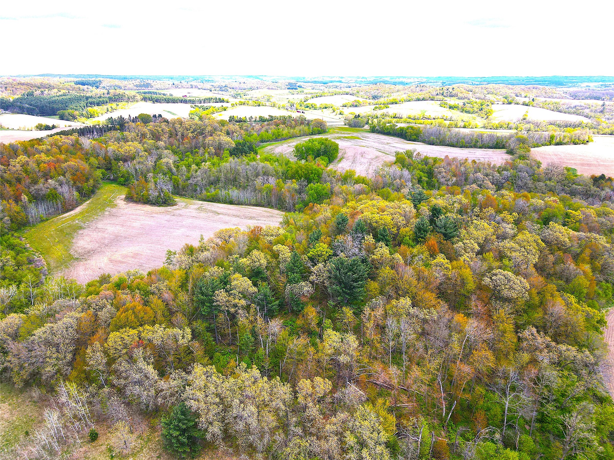 125 acres Steig Coulee Road Osseo WI 54758 1601001 image2