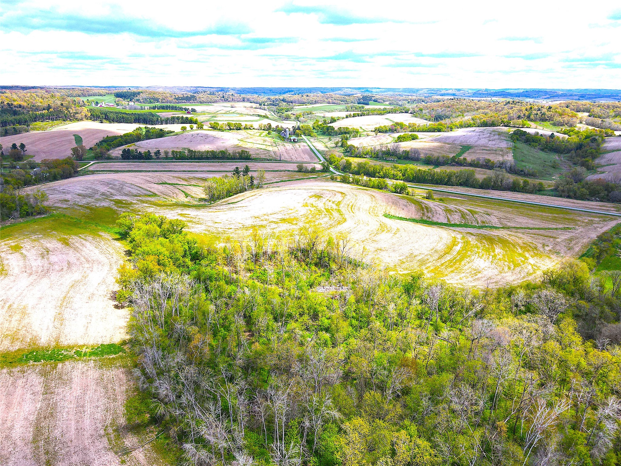 125 acres Steig Coulee Road Osseo WI 54758 1601001 image20