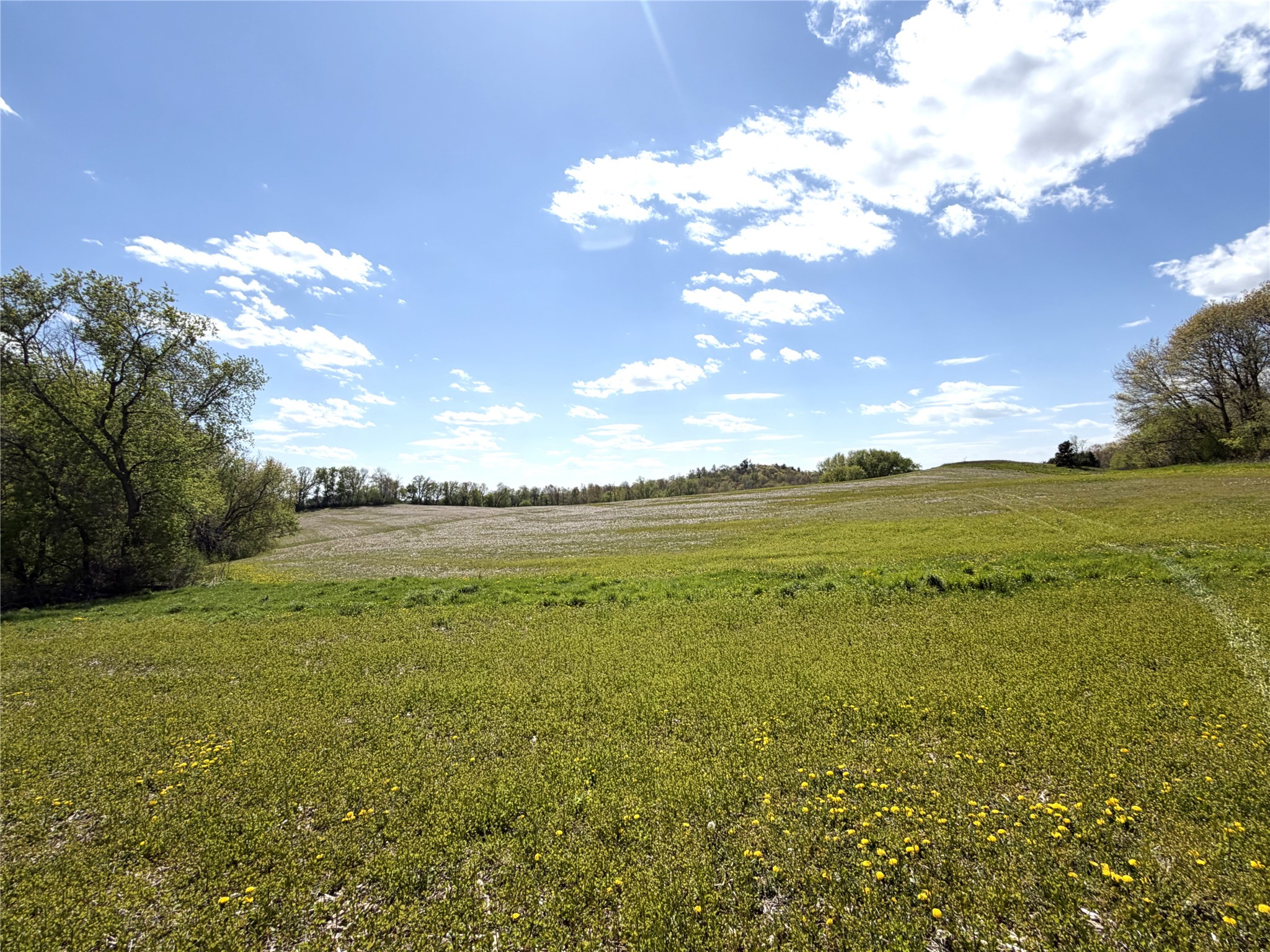 125 acres Steig Coulee Road Osseo WI 54758 1601001 image21