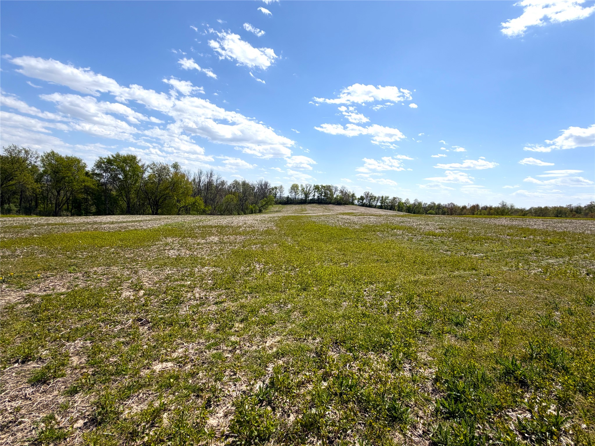 125 acres Steig Coulee Road Osseo WI 54758 1601001 image22
