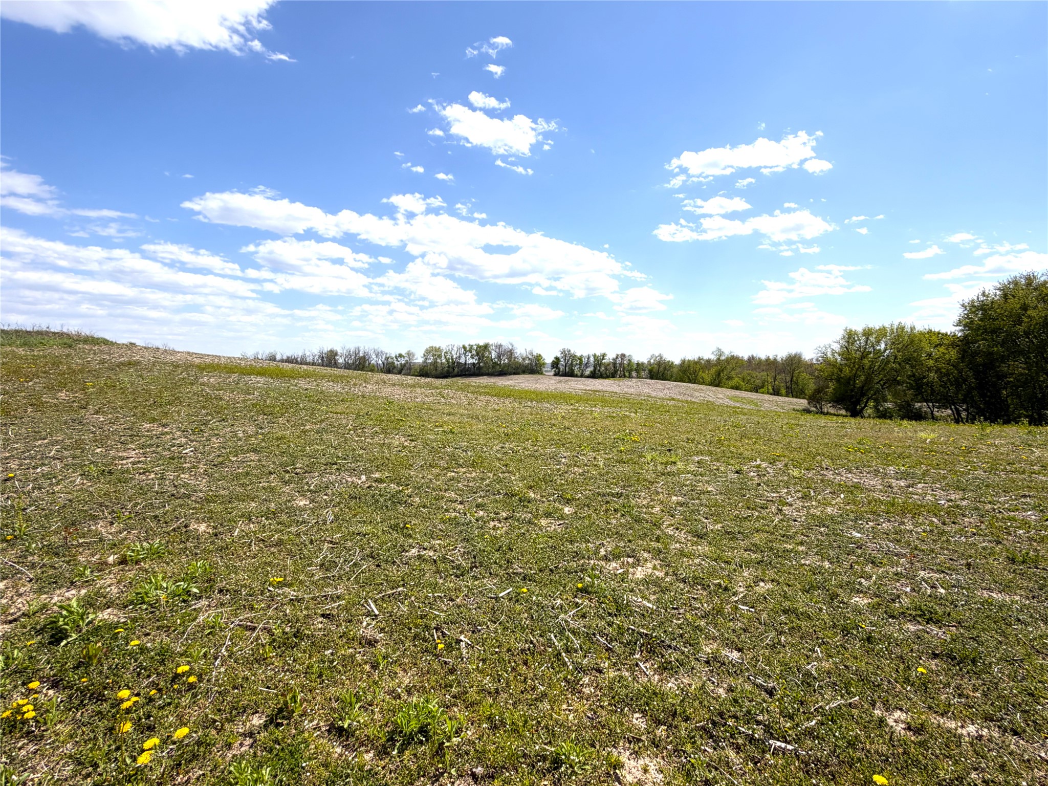 125 acres Steig Coulee Road Osseo WI 54758 1601001 image23