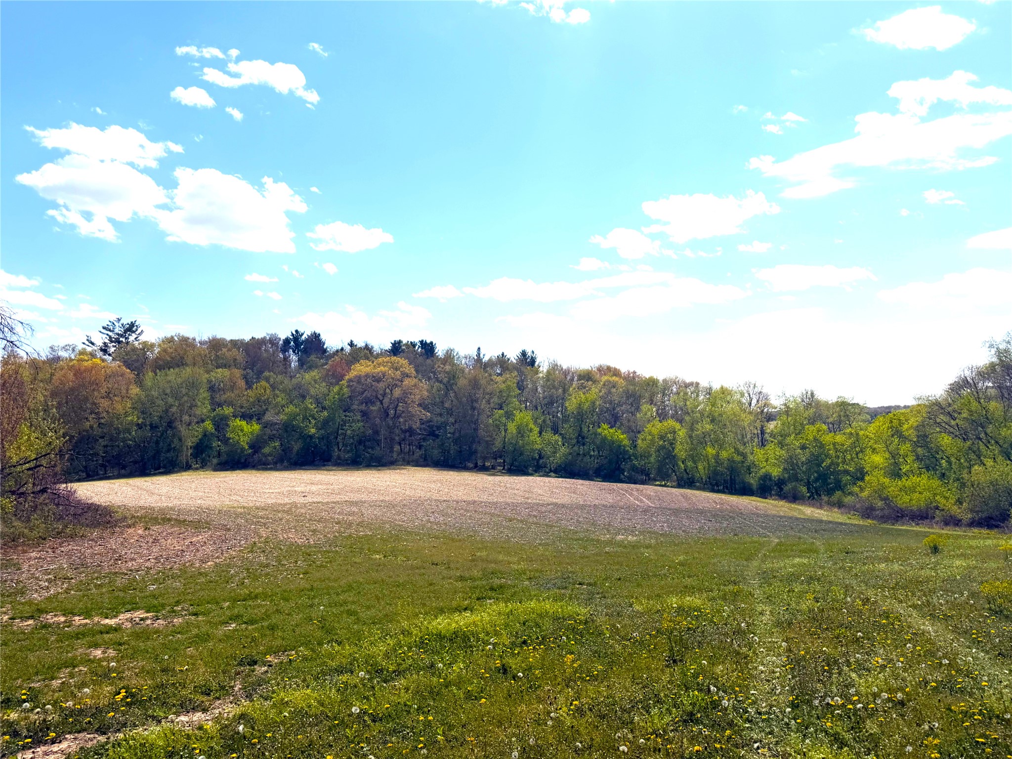 125 acres Steig Coulee Road Osseo WI 54758 1601001 image24