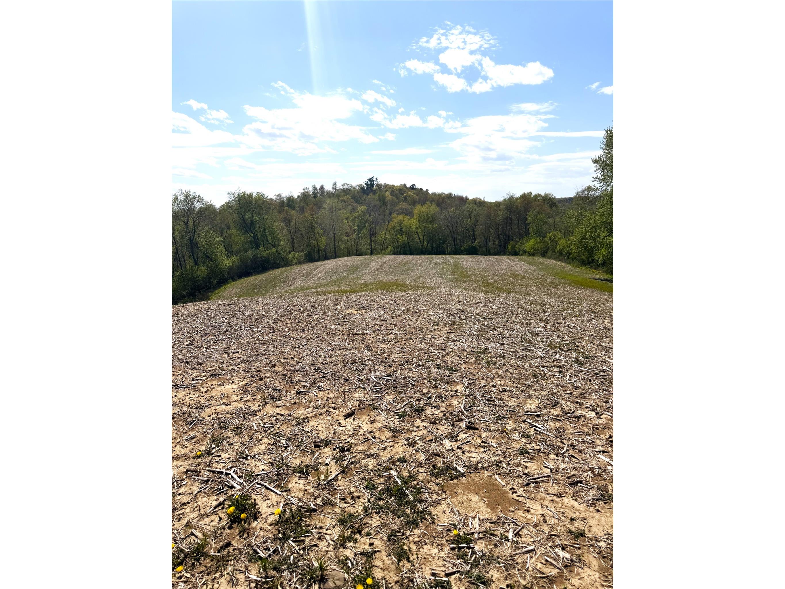 125 acres Steig Coulee Road Osseo WI 54758 1601001 image26