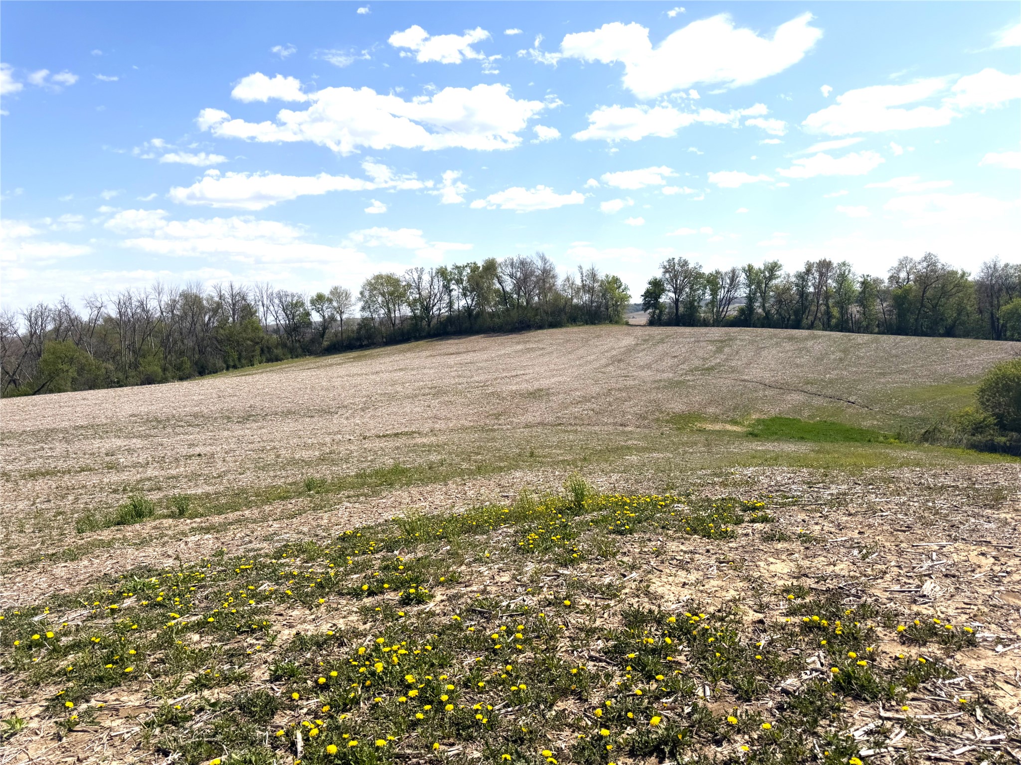 125 acres Steig Coulee Road Osseo WI 54758 1601001 image27