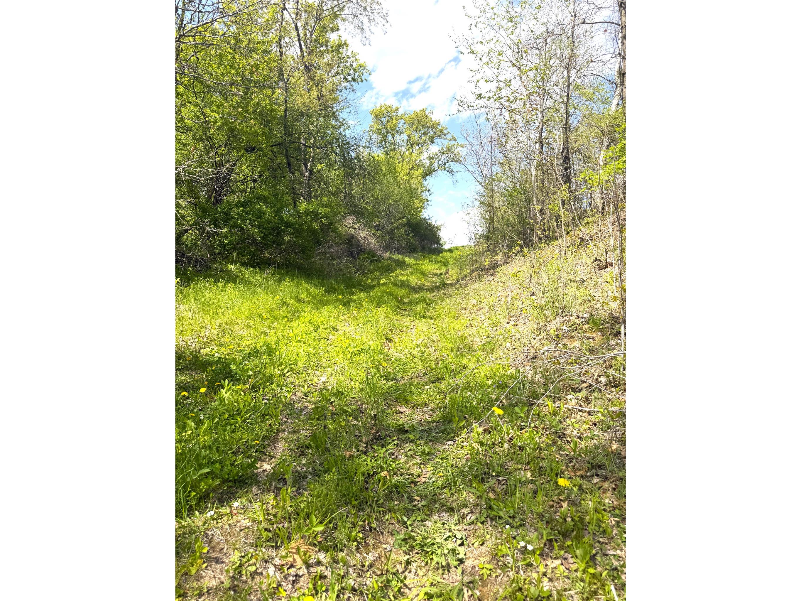 125 acres Steig Coulee Road Osseo WI 54758 1601001 image28