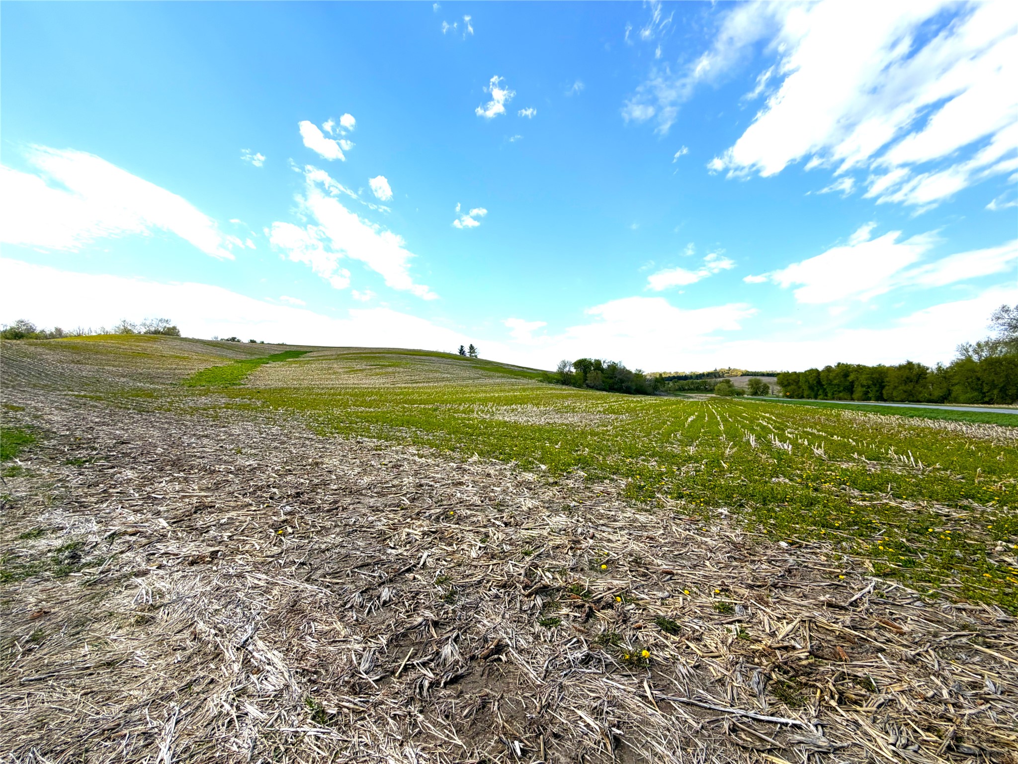125 acres Steig Coulee Road Osseo WI 54758 1601001 image29
