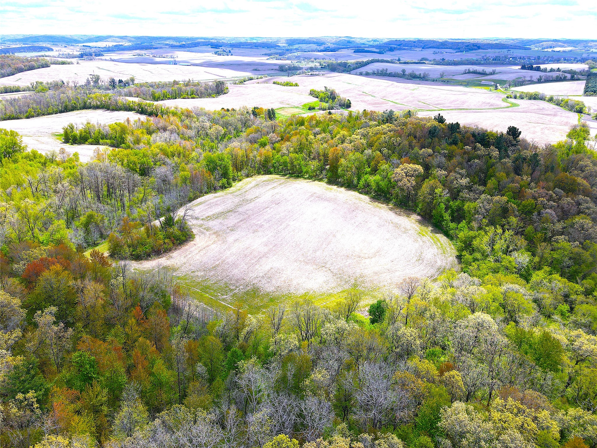 125 acres Steig Coulee Road Osseo WI 54758 1601001 image3