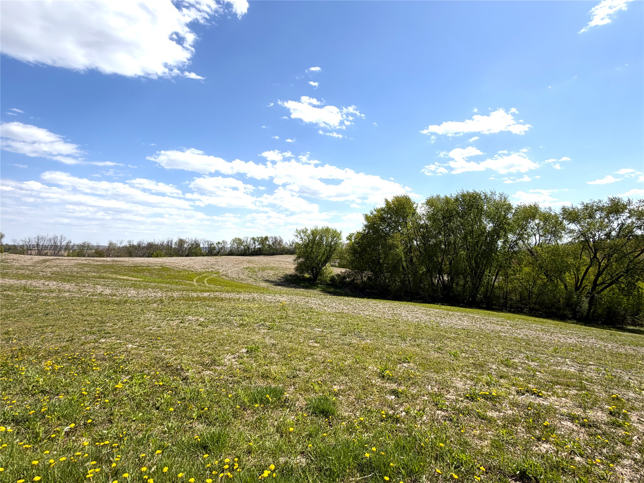 125 acres Steig Coulee Road Osseo WI 54758 1601001 image5