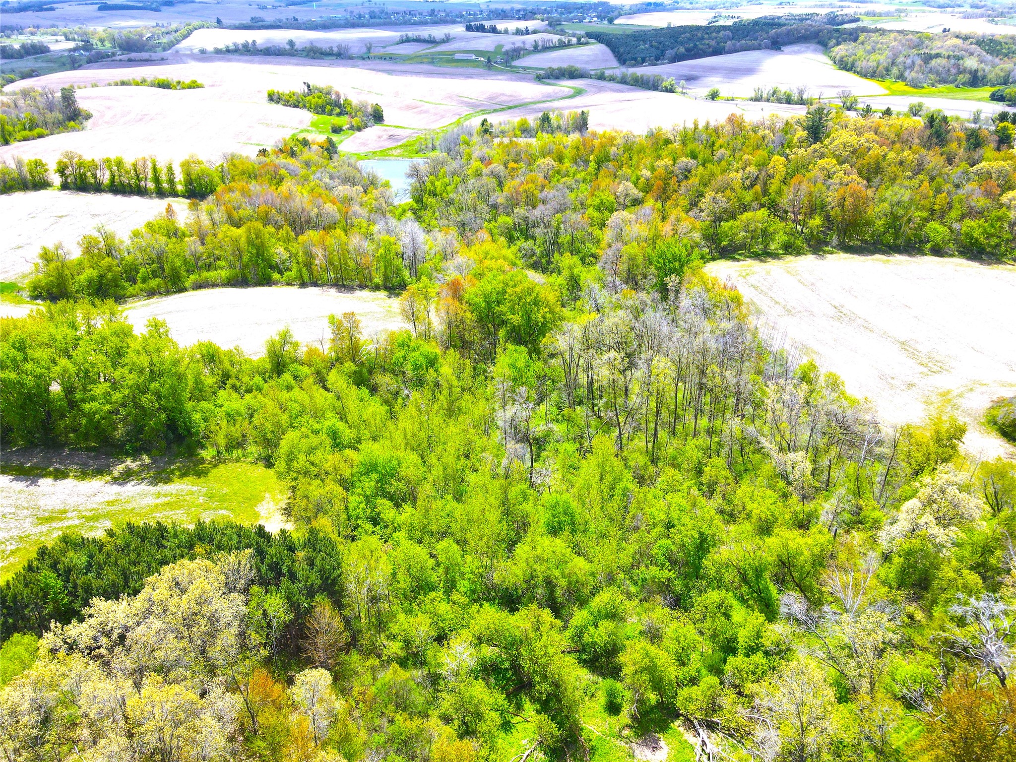 125 acres Steig Coulee Road Osseo WI 54758 1601001 image6