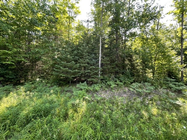 12552 N County Highway T Hayward WI 54843 1602793 image1