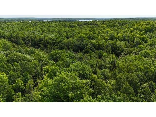 12552 N County Highway T Hayward WI 54843 1602793 image10