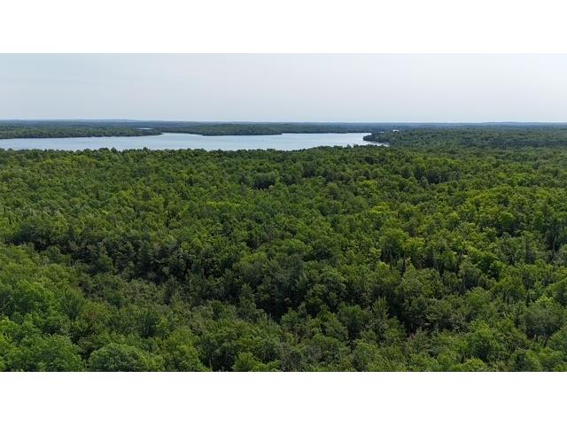 12552 N County Highway T Hayward WI 54843 1602793 image11