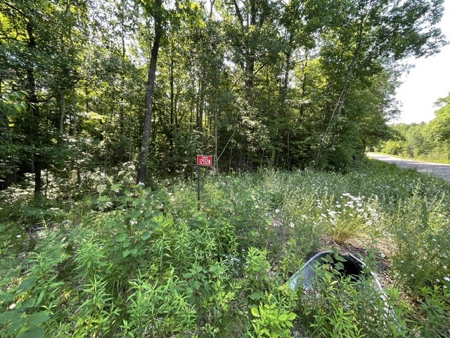 12552 N County Highway T Hayward WI 54843 1602793 image2
