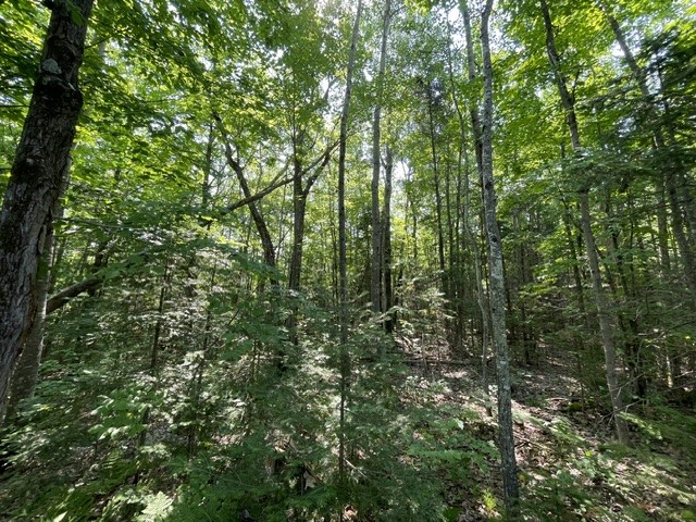 12552 N County Highway T Hayward WI 54843 1602793 image4
