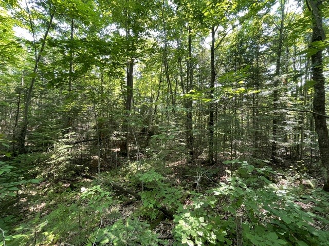 12552 N County Highway T Hayward WI 54843 1602793 image5