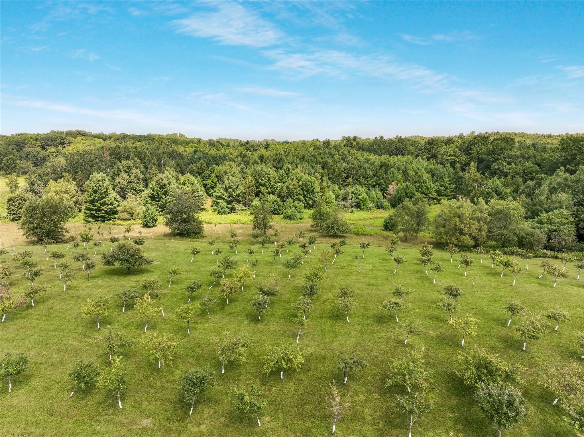 12558 W Twin Lake Road Hayward WI 54843 1602004 image58