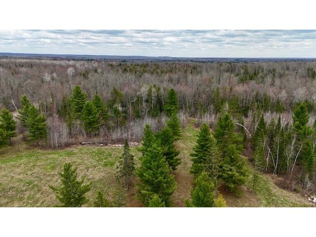 12655 W Atherton Road Couderay WI 54828 1600138 image10