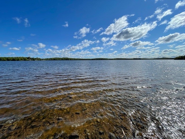 12757 N County Road T Hayward WI 54843 - Nelson Lake 1600040 image42