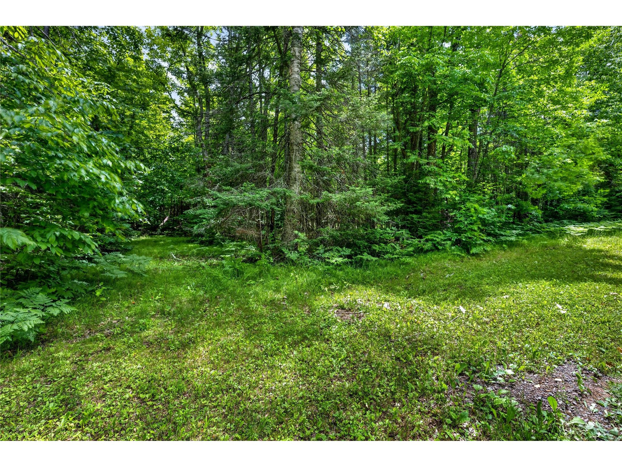 12765 Brady Road Drummond WI 54832 - Lake Wilipyro 1602640 image28