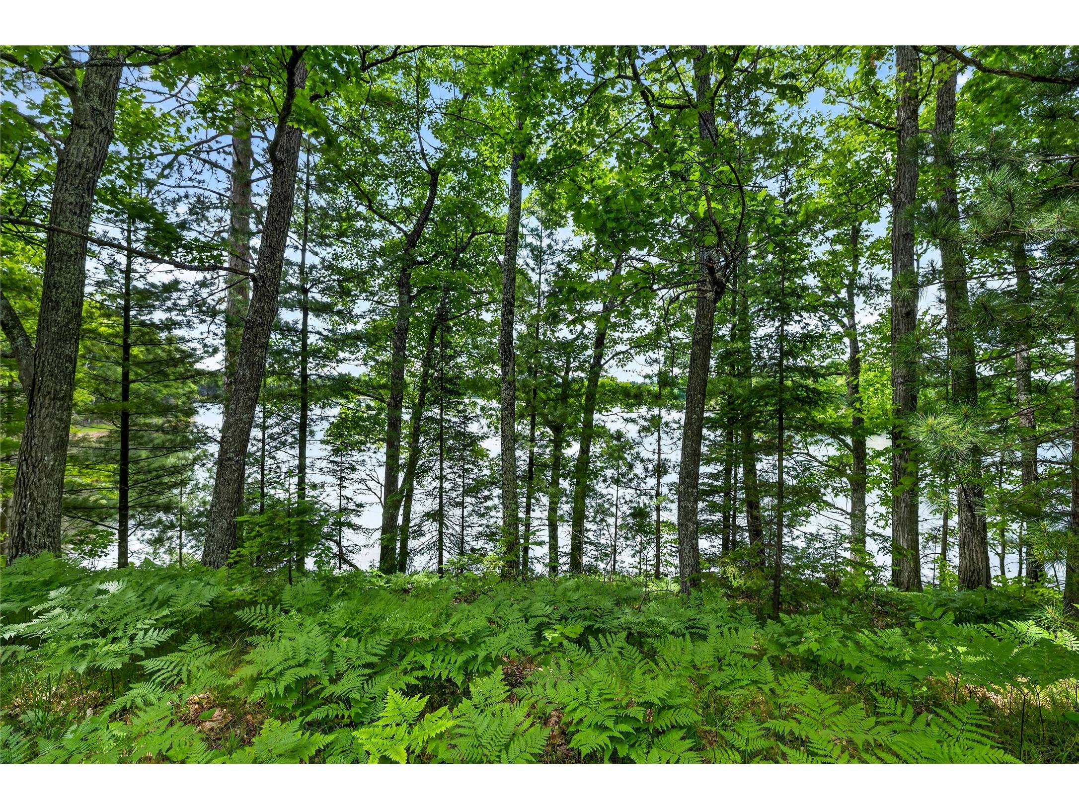 12765 Brady Road Drummond WI 54832 - Lake Wilipyro 1602640 image35