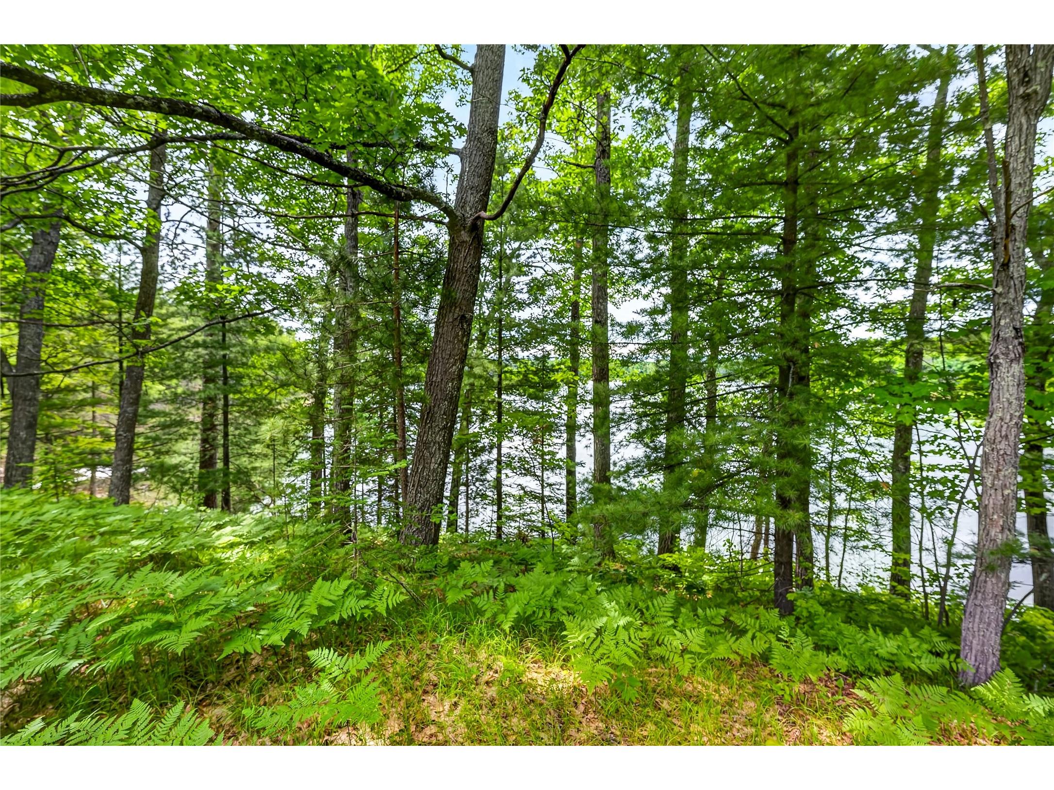 12765 Brady Road Drummond WI 54832 - Lake Wilipyro 1602640 image36