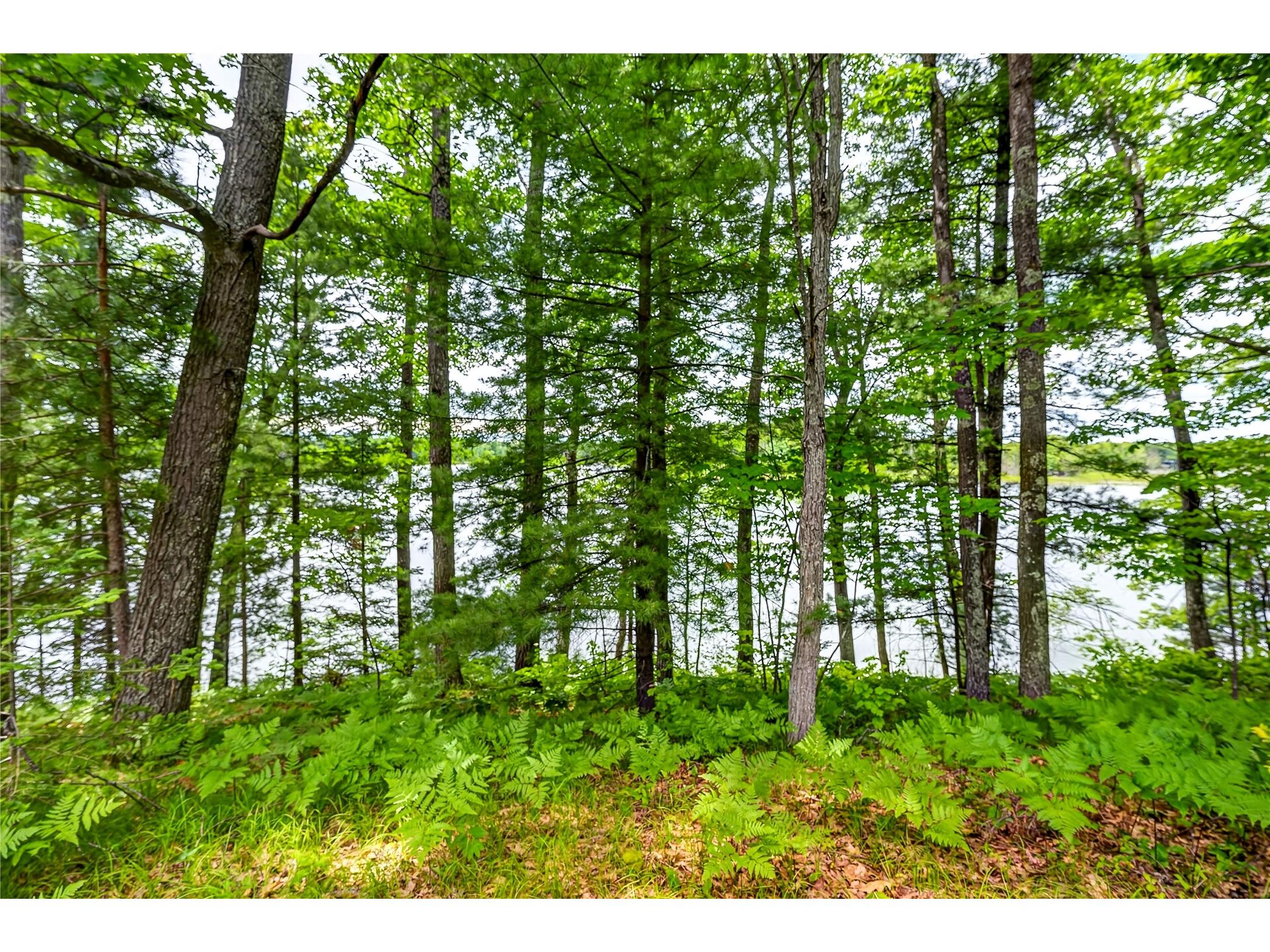 12765 Brady Road Drummond WI 54832 - Lake Wilipyro 1602640 image37
