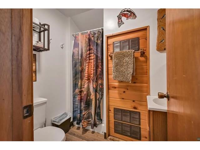 12770 Scenic Drive Iron River WI 54847 - Delta 1598800 image55