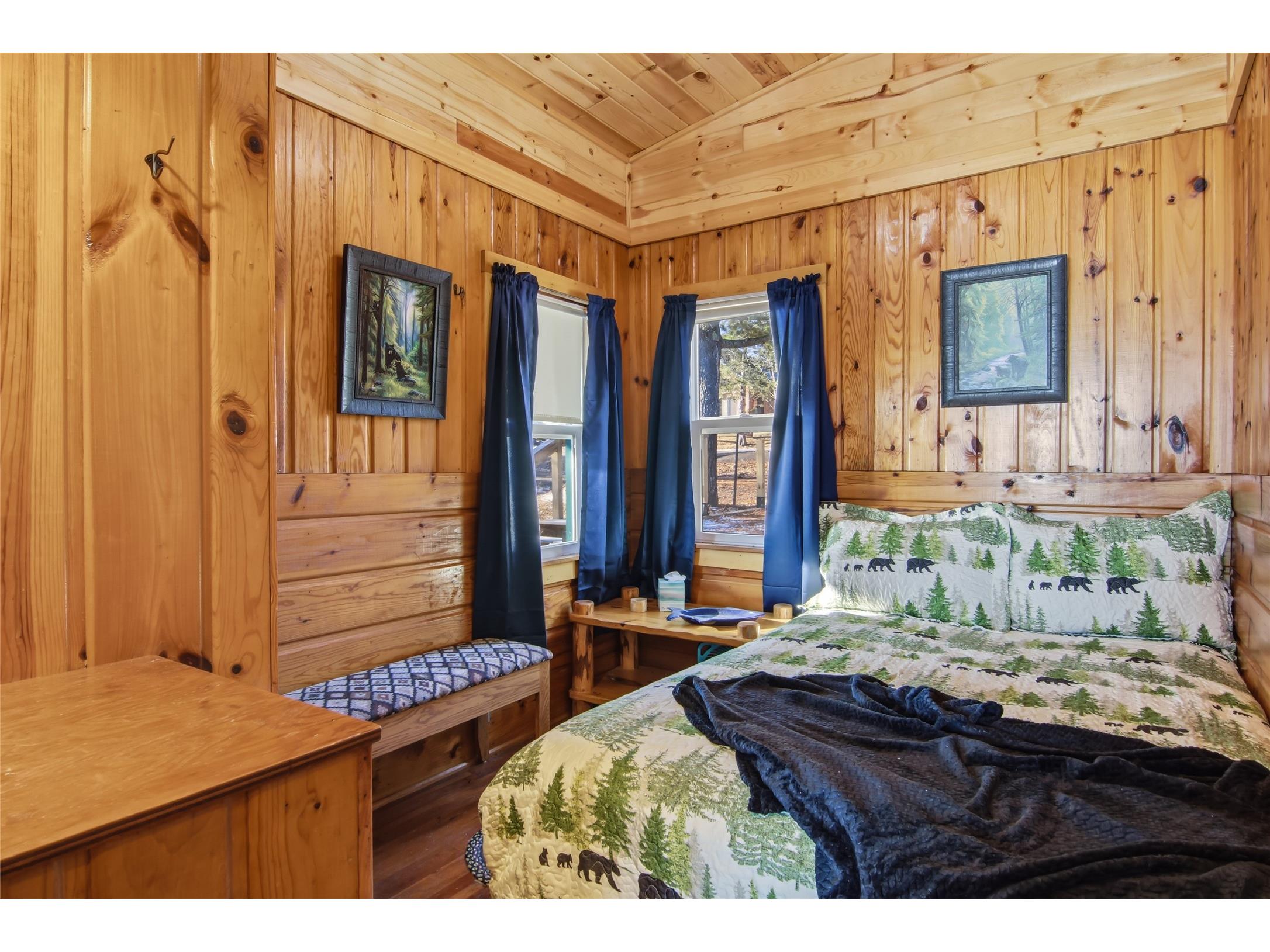 12812N County Hwy T Hayward WI 54843 - Nelson Lake 1598377 image19