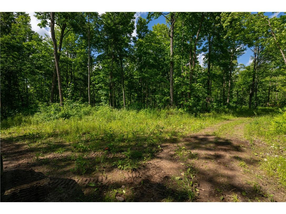 12915W Preserve Road Hayward WI 54843 1596999 image17