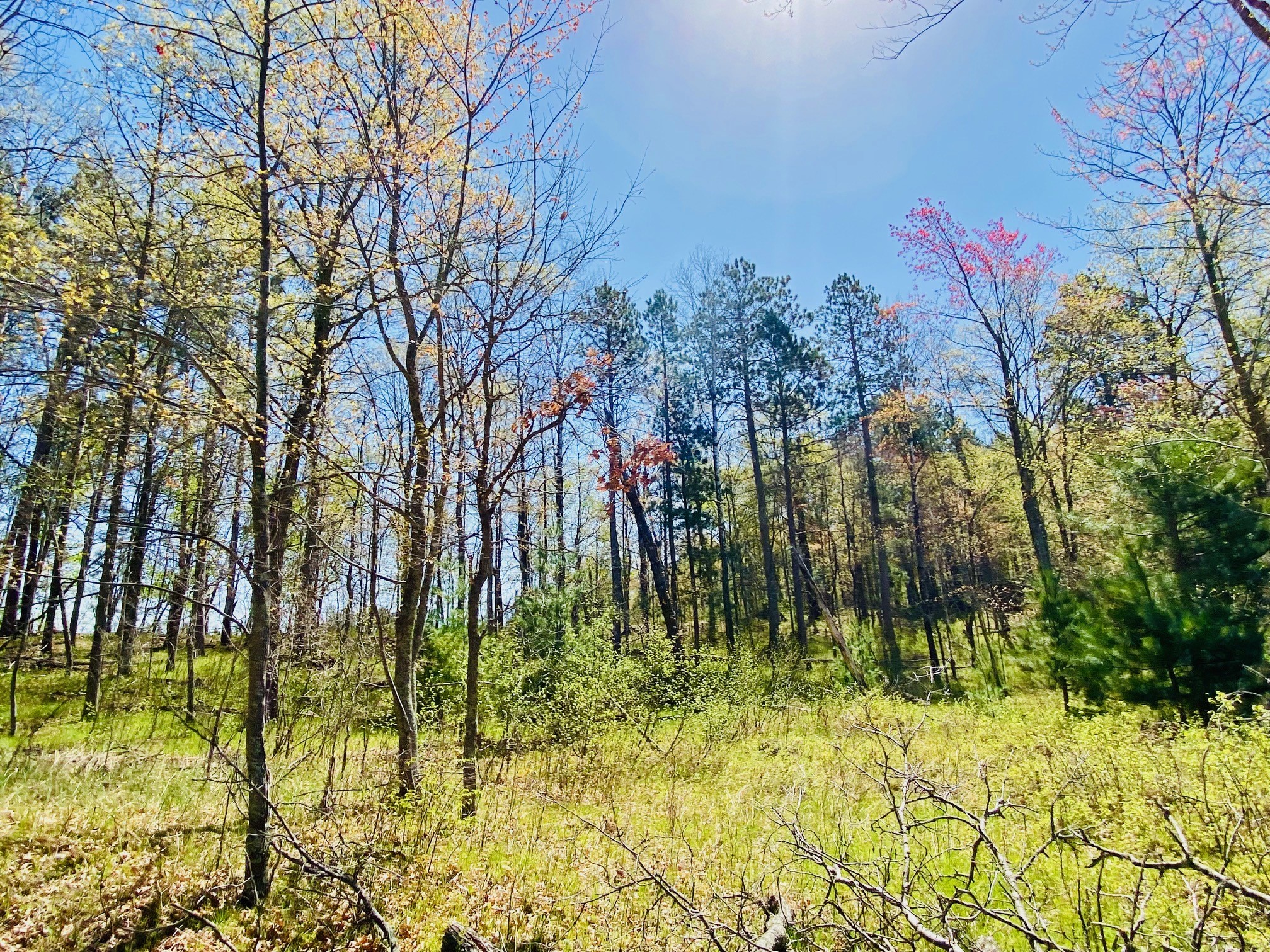 1297 Dock Lake Road Spooner WI 54801 - Bass Lake 1601234 image30