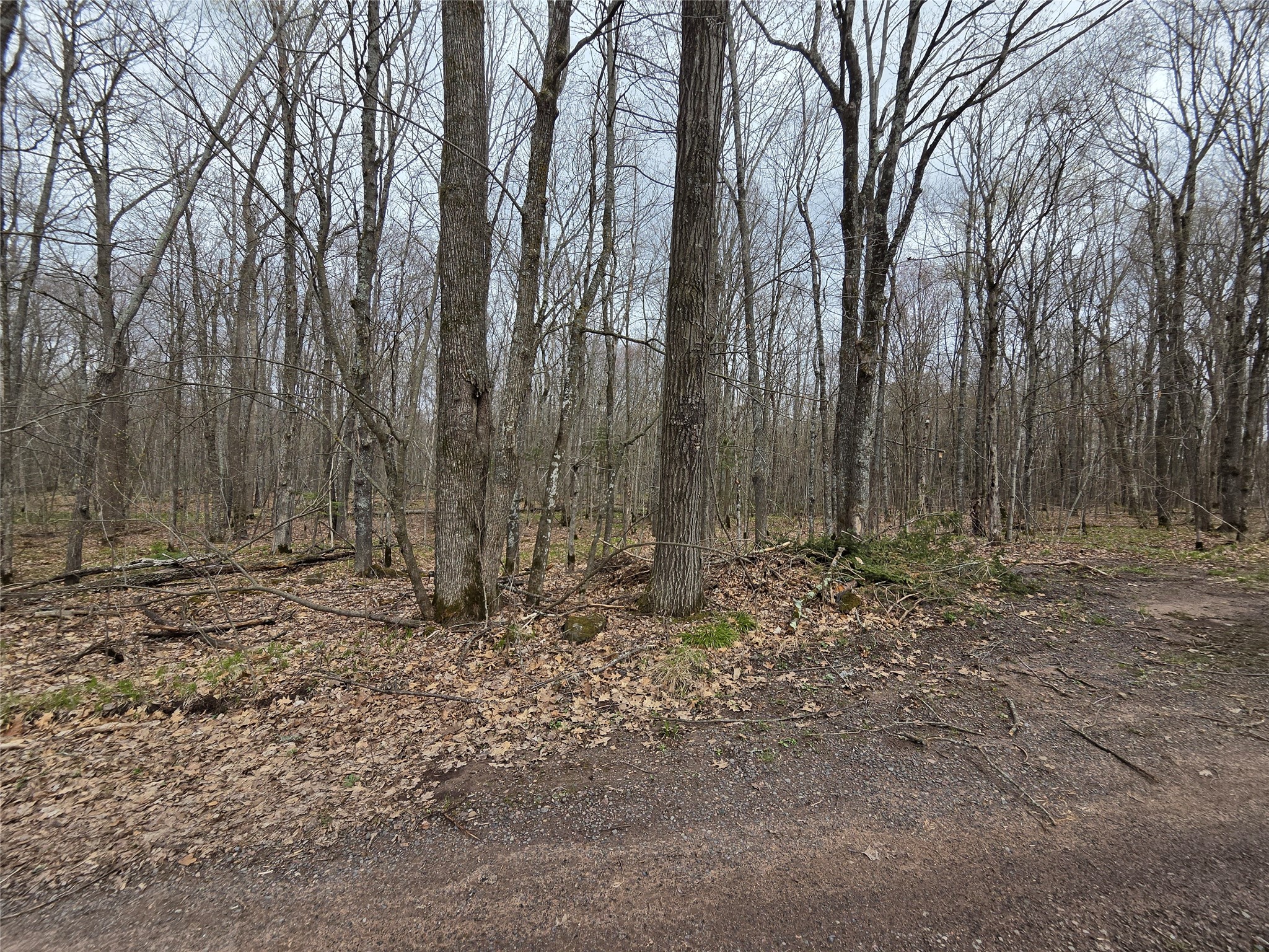 12XXX N Olson Road Hayward WI 54843 1600628 image9
