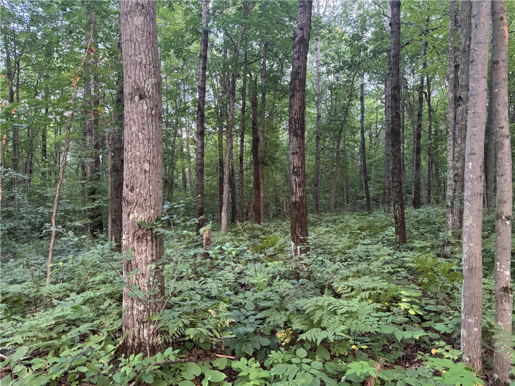 13 acres on County Rd A Spooner WI 54801 1594721 image10