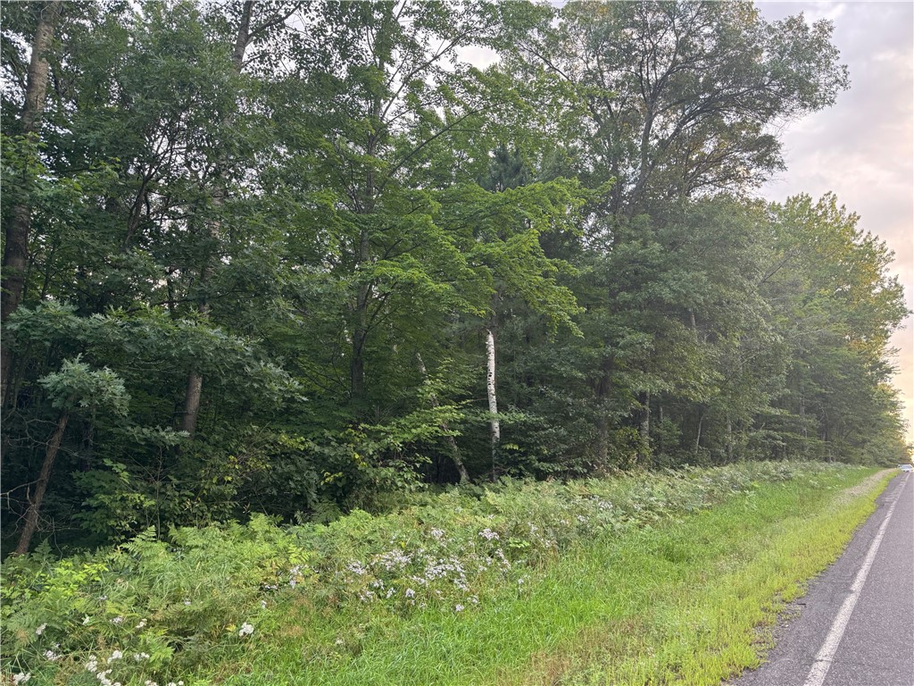 13 acres on County Rd A Spooner WI 54801 1594721 image11