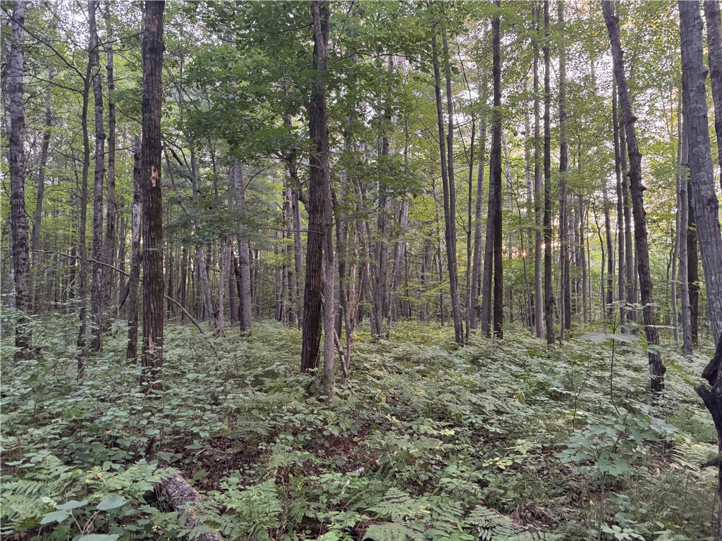13 acres on County Rd A Spooner WI 54801 1594721 image12