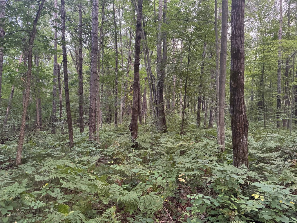 13 acres on County Rd A Spooner WI 54801 1594721 image13