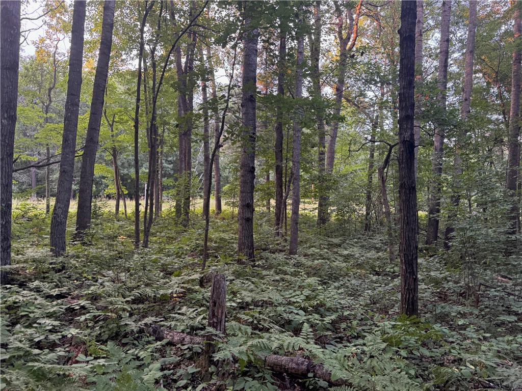 13 acres on County Rd A Spooner WI 54801 1594721 image14