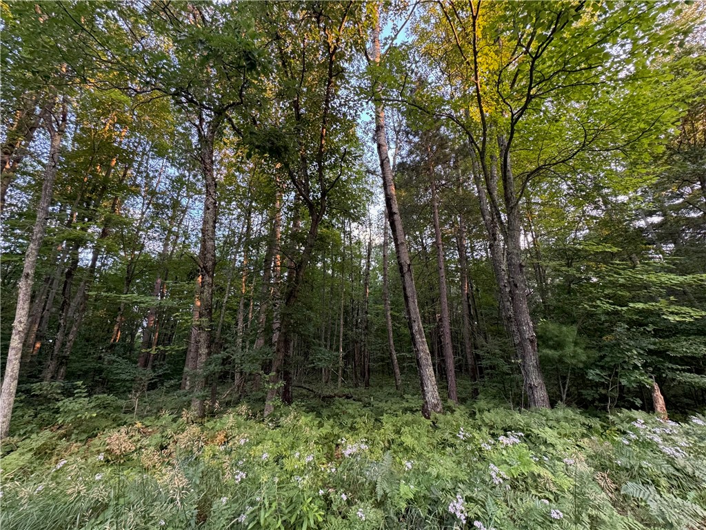 13 acres on County Rd A Spooner WI 54801 1594721 image6