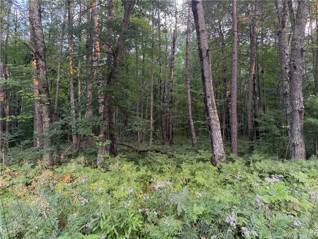 13 acres on County Rd A Spooner WI 54801 1594721 image7
