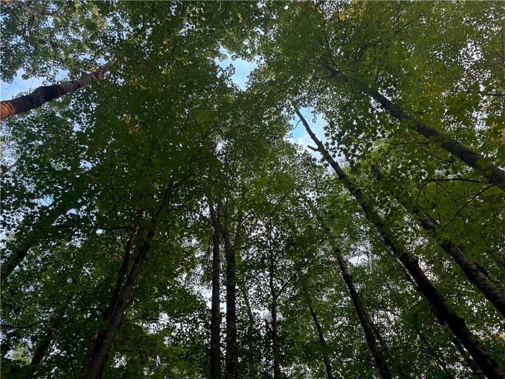 13 acres on County Rd A Spooner WI 54801 1594721 image8