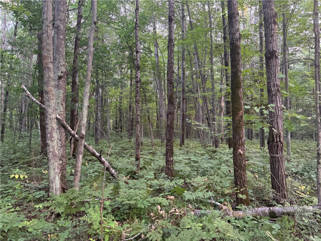 13 acres on County Rd A Spooner WI 54801 1594721 image9