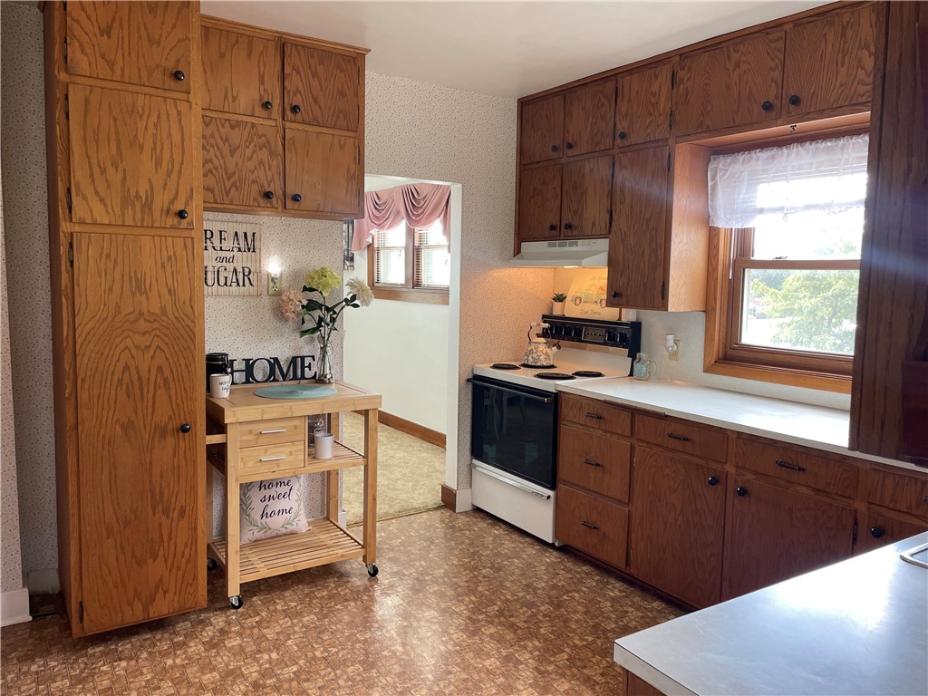 13024 9th Osseo WI 54758 1595803 image14