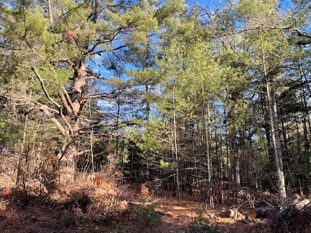 1303 W Highway 70 Stone Lake WI 54876 1578445 image1