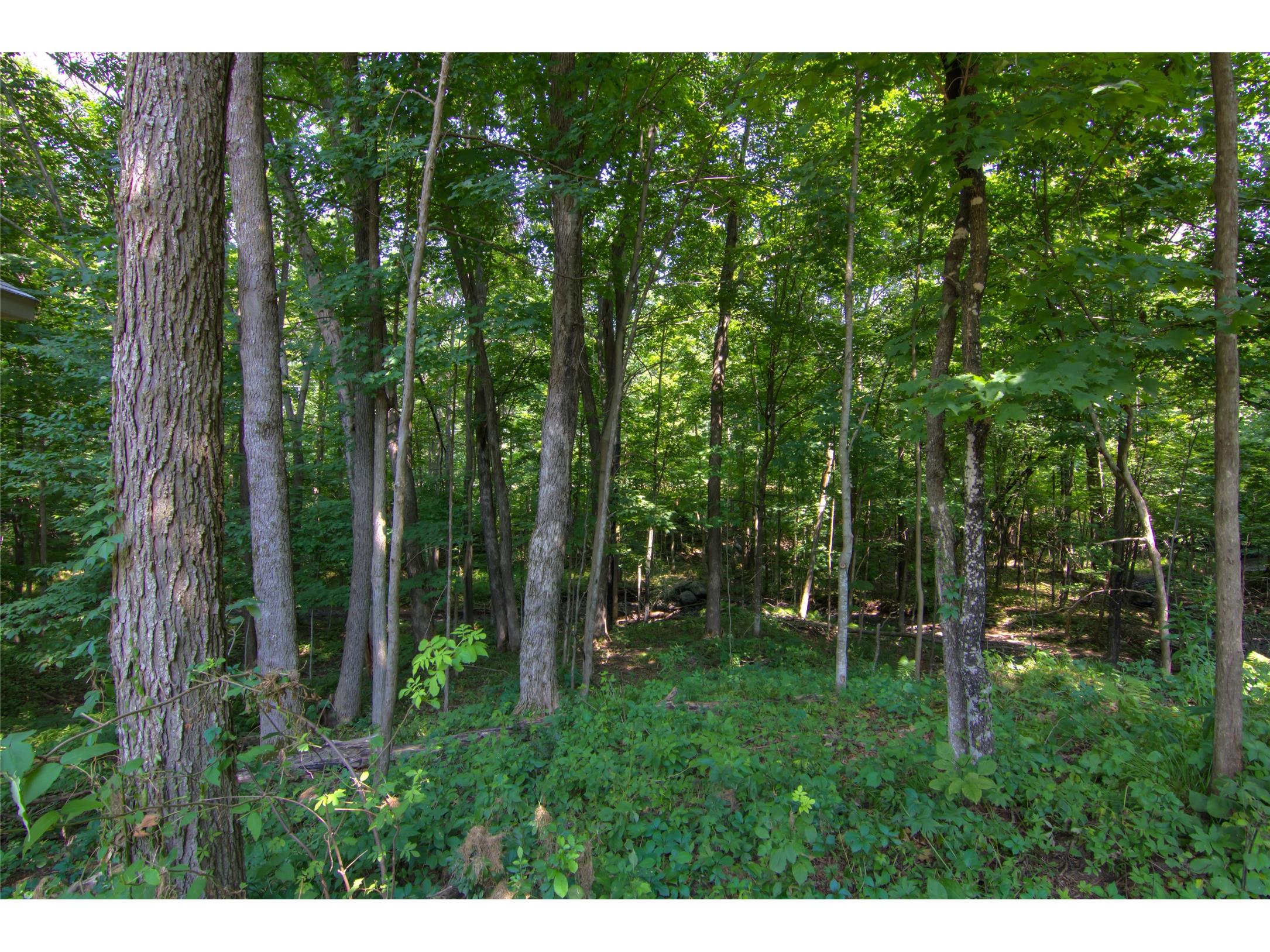 1305 River Avenue E Ladysmith WI 54848 1600477 image41