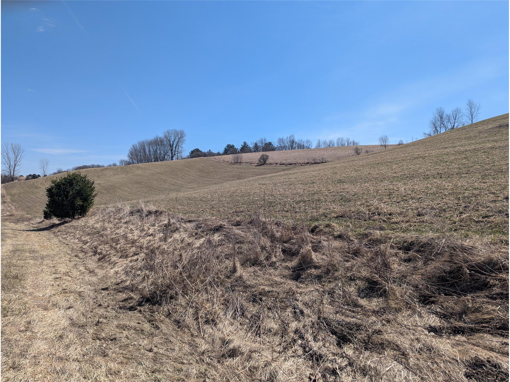 1310 Valley Estates Road Mondovi WI 54755 1599936 image2