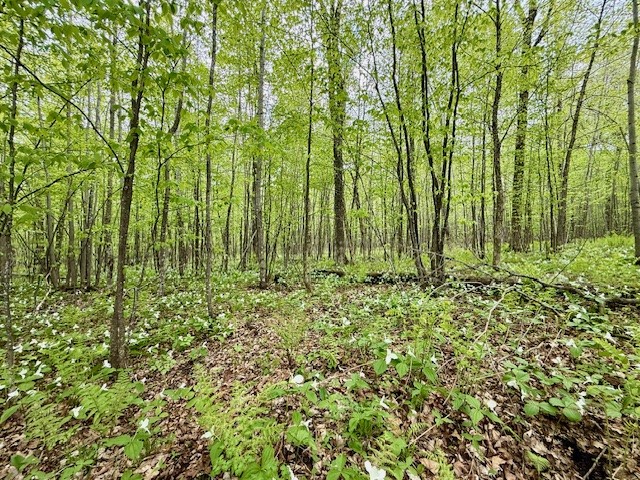 13107 W Peninsula Road Hayward WI 54843 1591716 image1