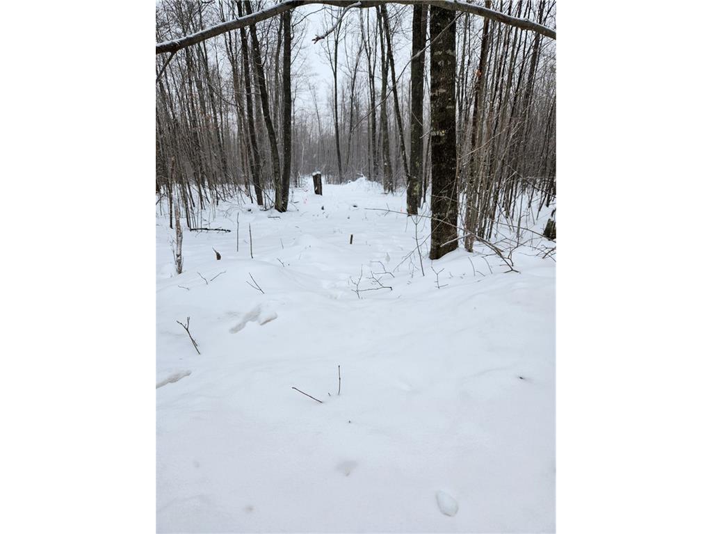 13209W Deer Lake Road, Exeland, WI 54835 MLS 1570509 Edina Realty